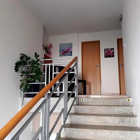 Fox Nemšová